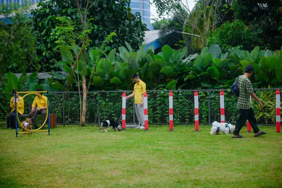 Pet Activity 2