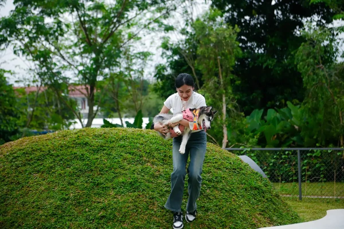 Pet Activity 3