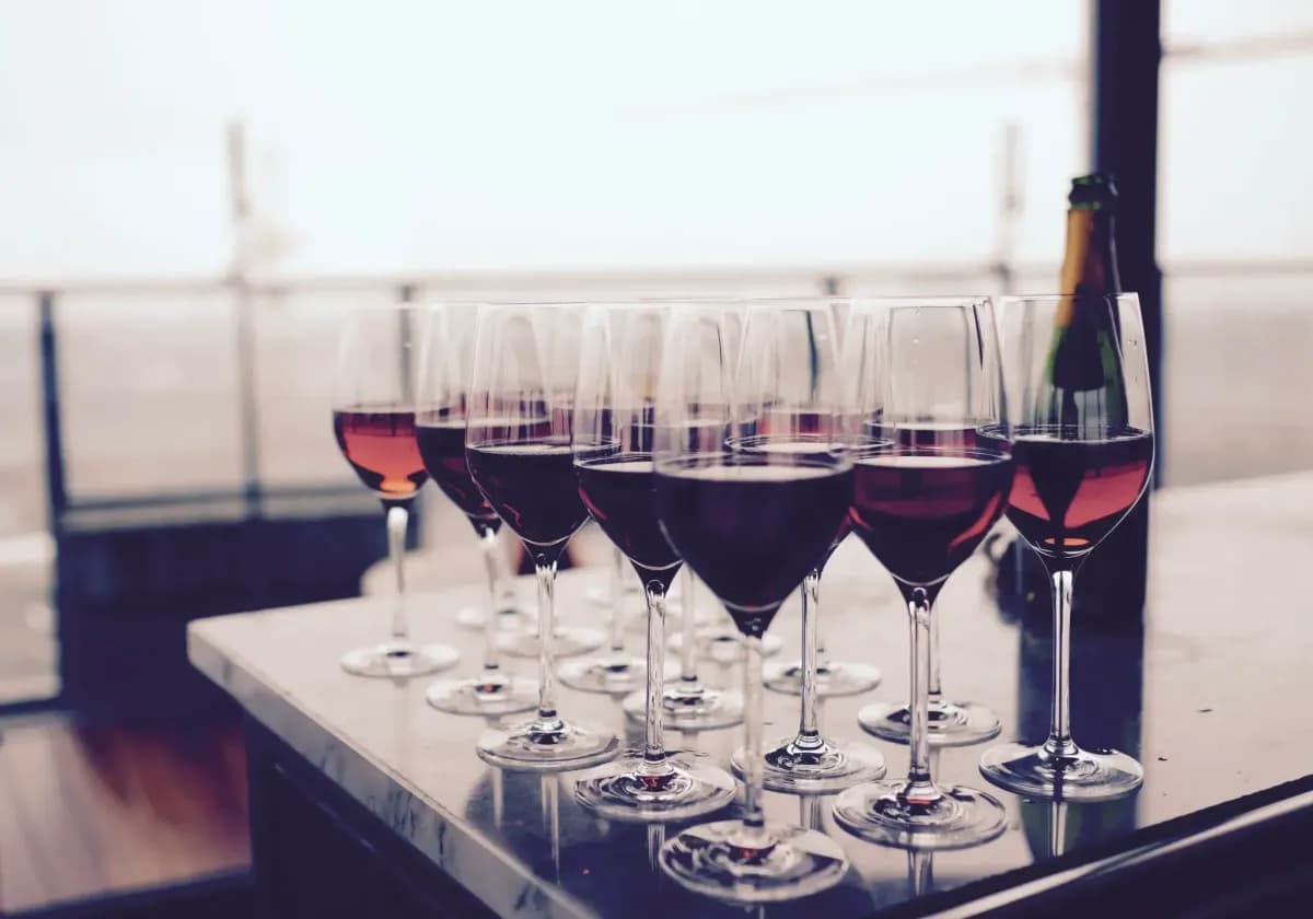 Wine Tasting 4